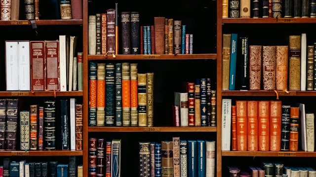 Estante de livros de referência, ilustrando pesquisa e fundamentação da investigação defensiva.